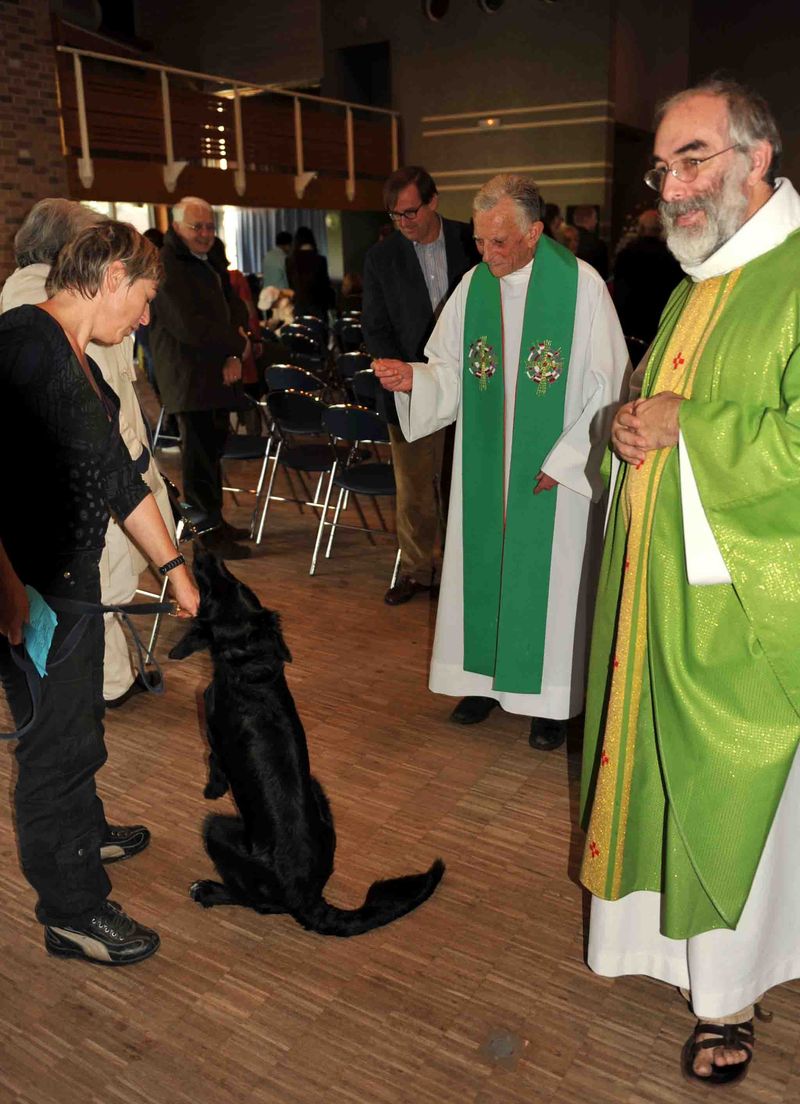 Bénédiction des animaux… sans Guy Gilbert