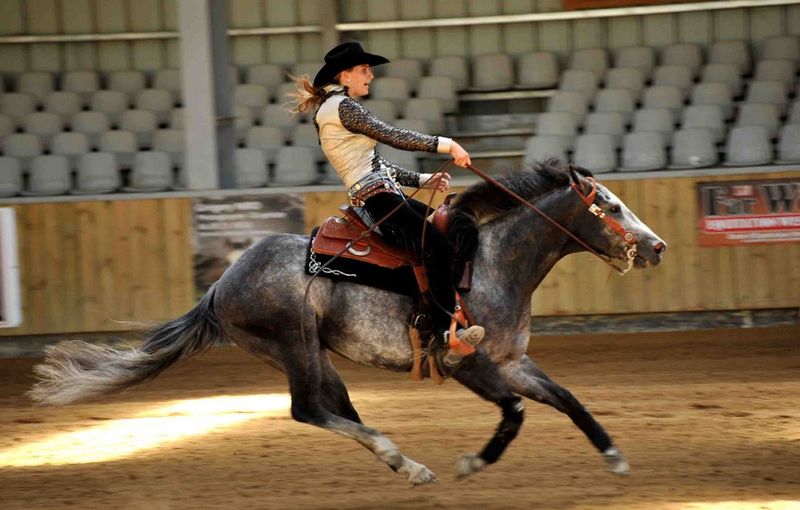 Le Pin, Le Petit Far-West a le mors aux dents