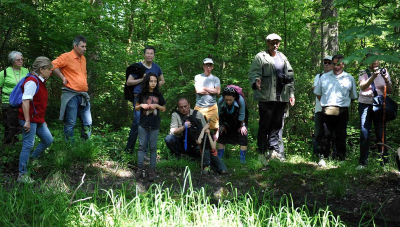 Fête de la nature, une randonnée pour découvrir la biodiversité