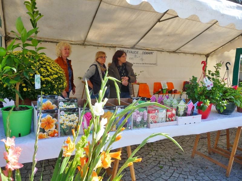 Bourse aux plantes d&rsquo;automne, une idée qui porte ses fruits
