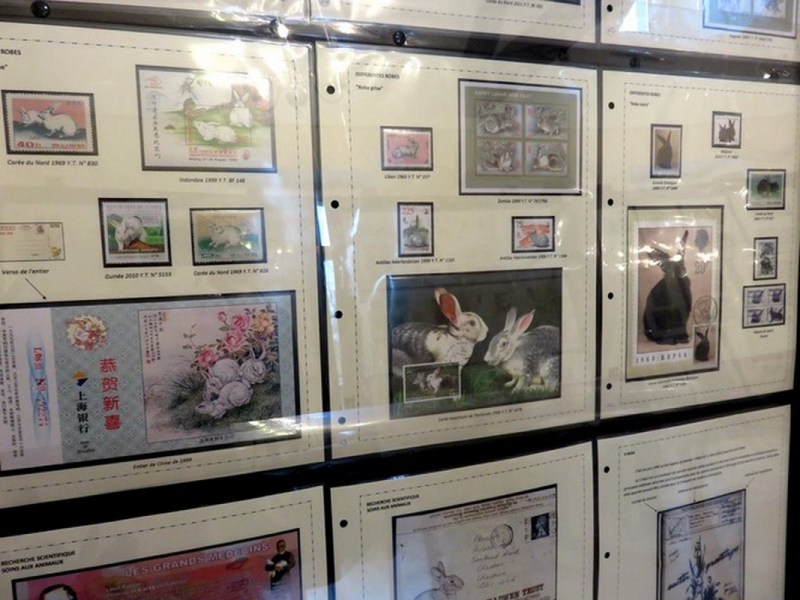 L&rsquo;Amicale philatélique de Thorigny  expose ses timbres