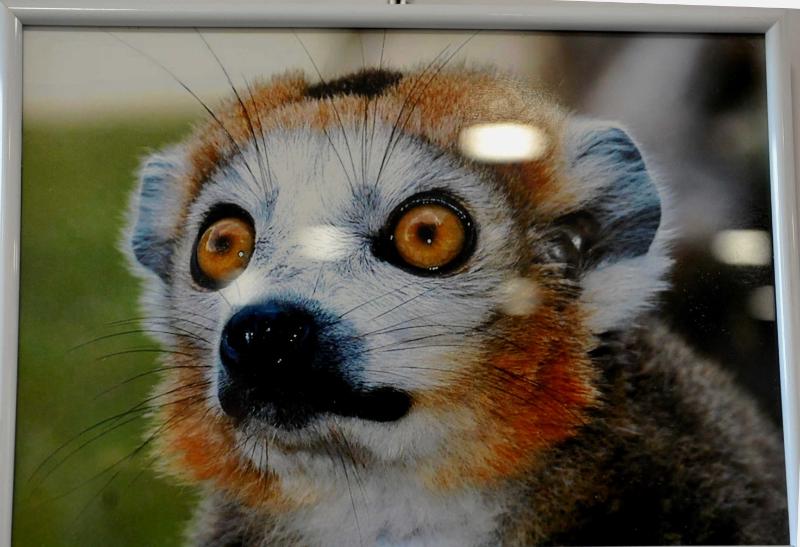 Pour Daniel Bernal, la photo c’est tout naturel !