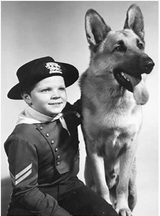 1918  Le fabuleux destin du chien RINTINTIN