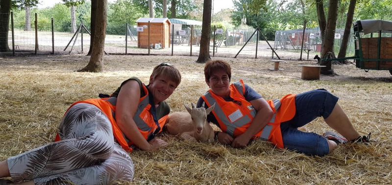 Courtry ► Le bonheur est de nouveau dans la mini-ferme