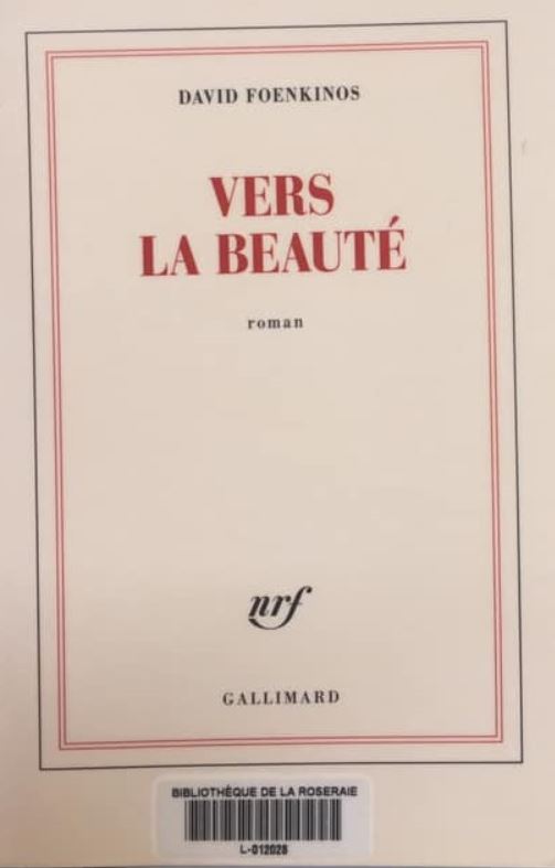 Vers la beauté, David Foenkinos