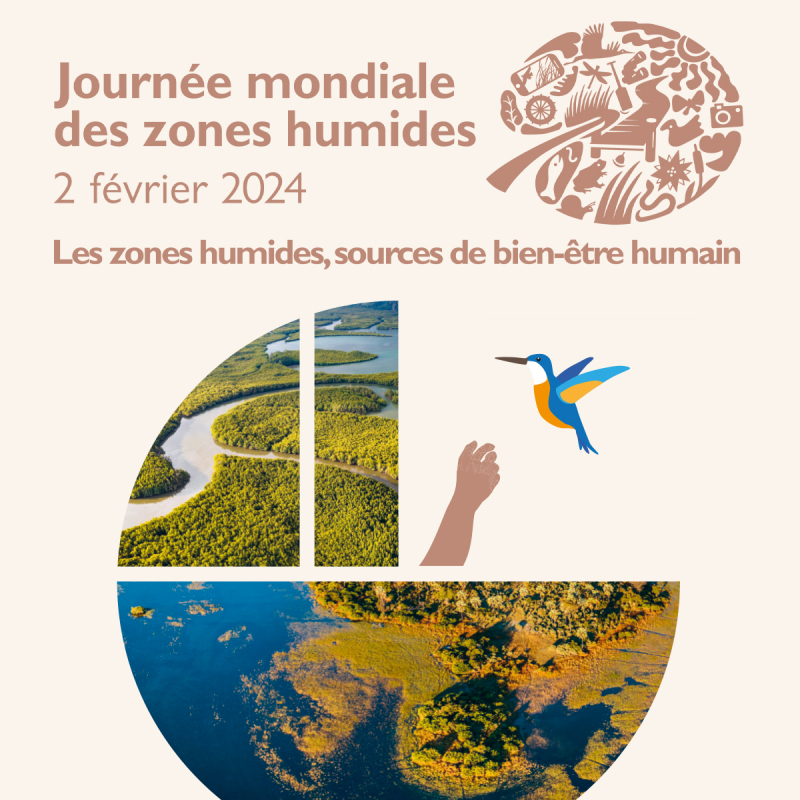 « LES ZONES HUMIDES, SOURCE DE BIEN-ÊTRE HUMAIN »